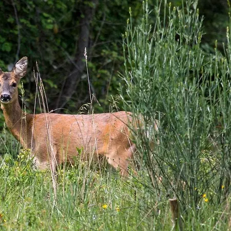 Hotel Castello Di Petroia Dimora D'epoca