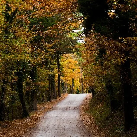 Castello Di Petroia Dimora D'epoca Hotel