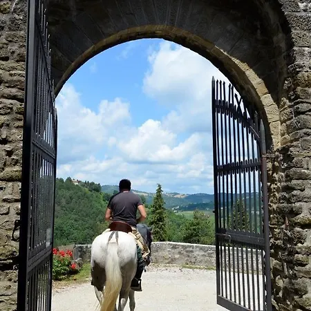 Castello Di Petroia Dimora D'epoca 酒店 4*