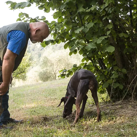 Castello Di Petroia Dimora D'epoca Gubbio