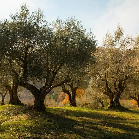 Castello Di Petroia 4*
