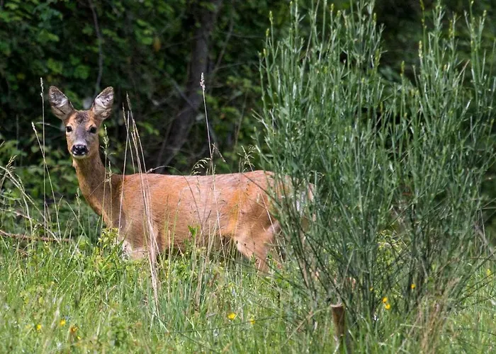 Hotel Castello Di Petroia