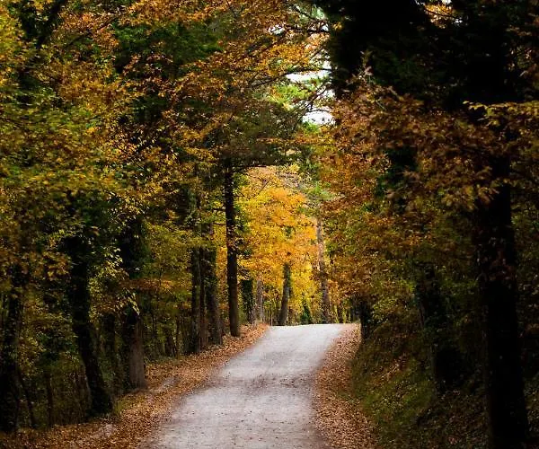 Castello Di Petroia Hotel